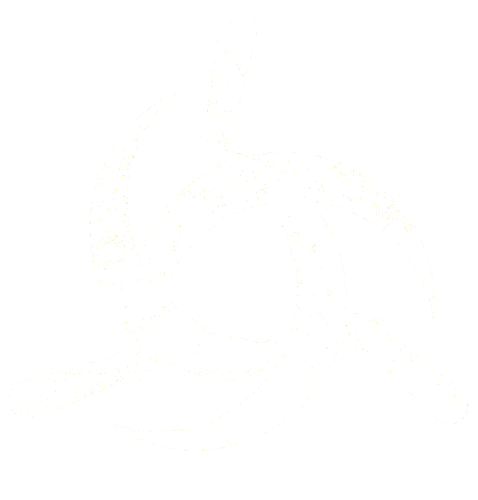 Neusatz